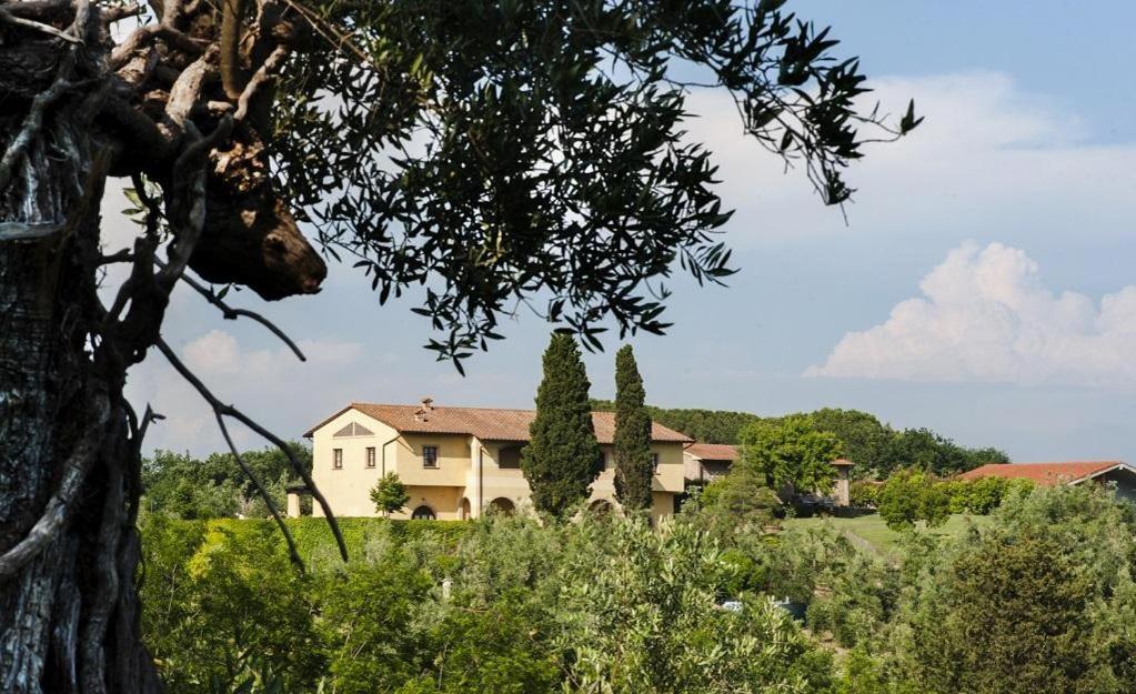 Agriturismo L'Antica Fornace Peccioli Luaran gambar